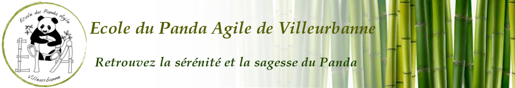 Ecole du Panda Agile, Taichi Chuan et Qi Gong, cours hebdomadaires et ateliers/stages à Lyon/Villeurbanne